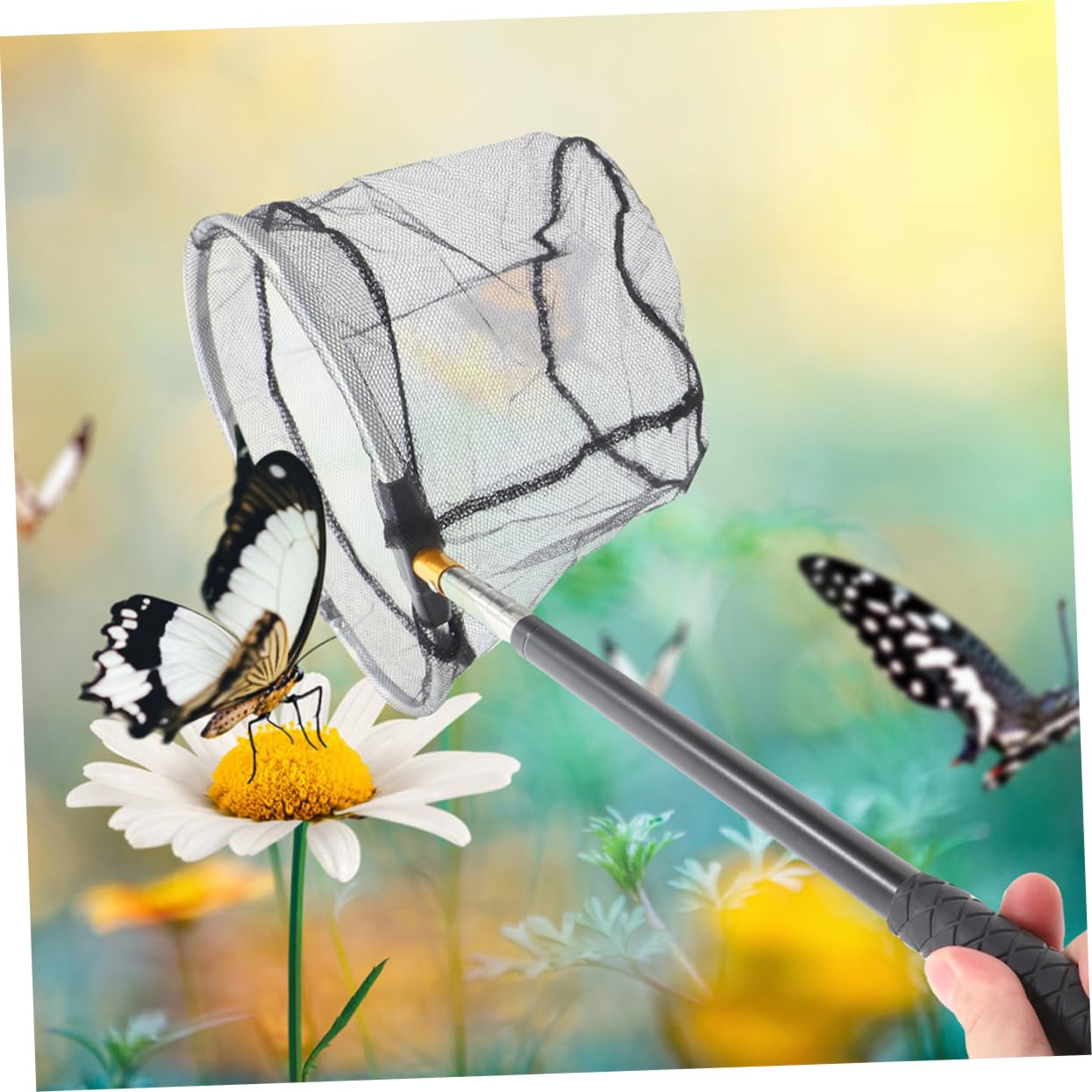 Toddmomy 8pièces Filet De Télescopique Épuisette Portable pour Attraper Poissons Insectes Et Accessoire De Extérieur Et Léger