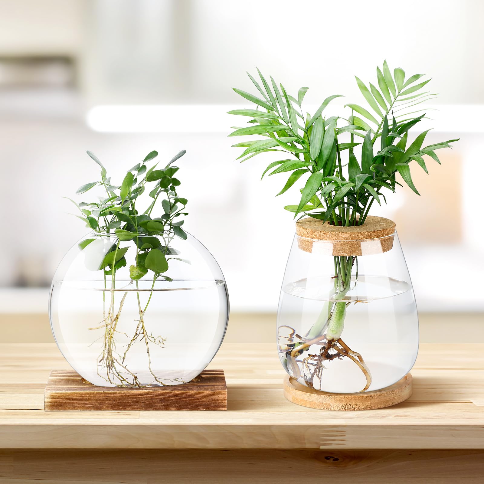 Layhit Lot de 4 stations de propagation séparées pour plantes de bureau, terrarium, vase en verre avec couvercle en bois et support en bambou pour la culture hydroponique, la maison, le bureau, la