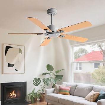 Modern Quiet Ceiling Fans Low Profile DC Motor Ceiling Fan No Light Remote Control 6 Speeds Ceiling Fans Without Lights 5 Blades For Patio Bedroom Living Room Garage Dining Room