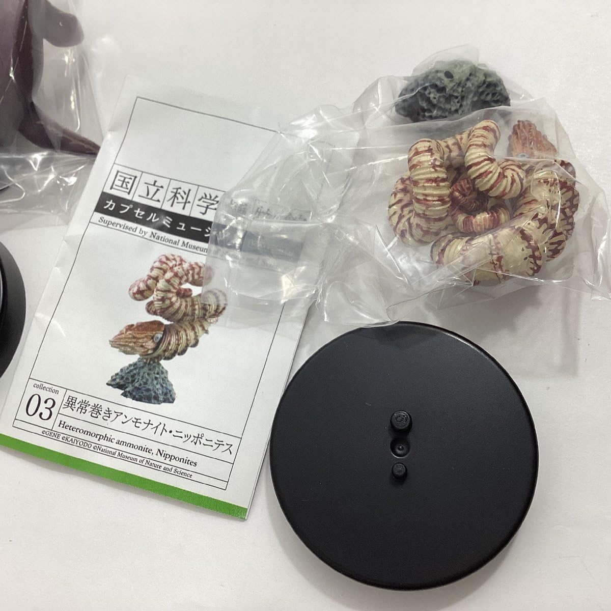 海洋堂 国立科学博物館 ショップ カプセルミュージアム 全9種セット