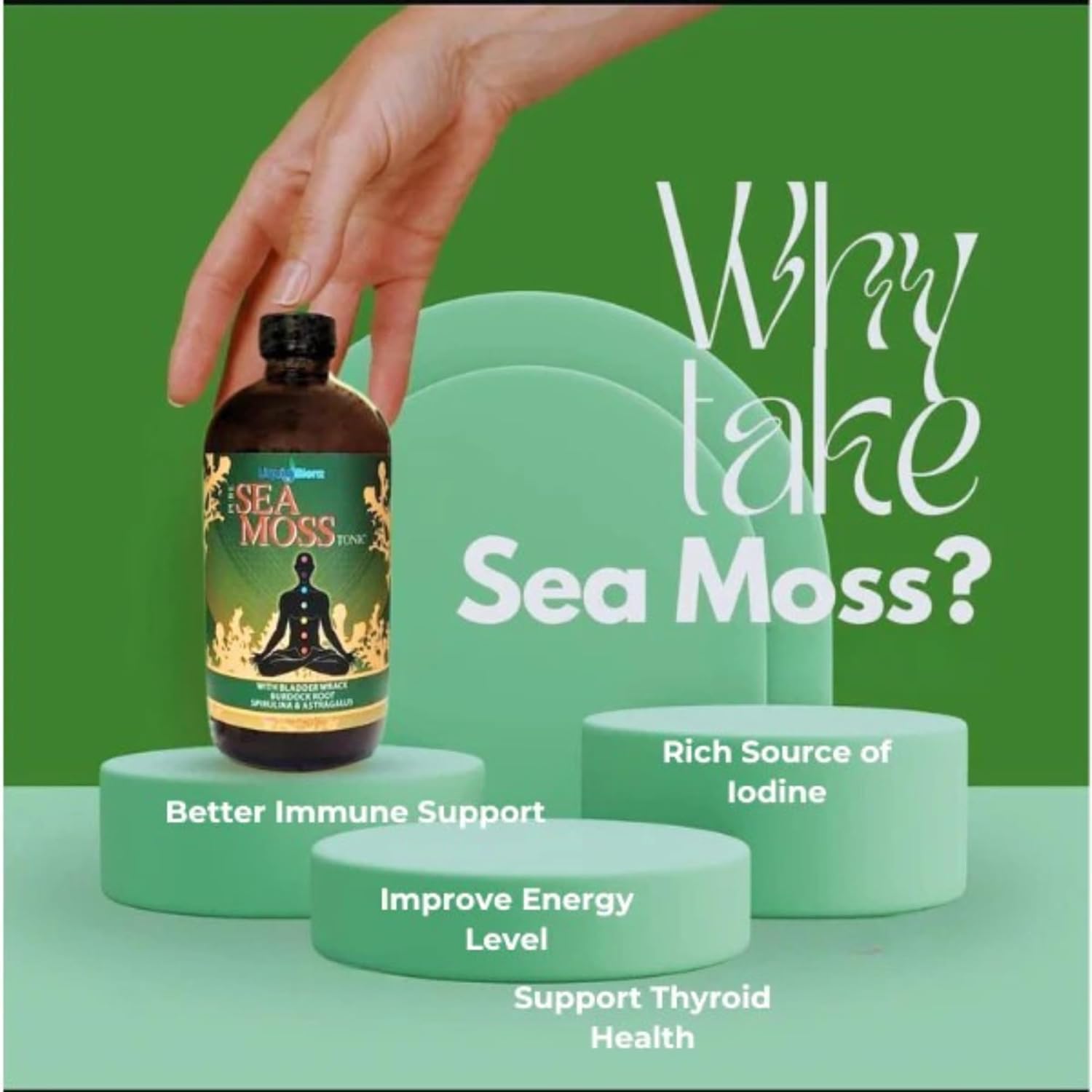 LIQUID BLENZ Sea Moss Tonic | Overall Body Enhancement & Wellbeing Support | Natural Herbal Supplement | 32 fl oz