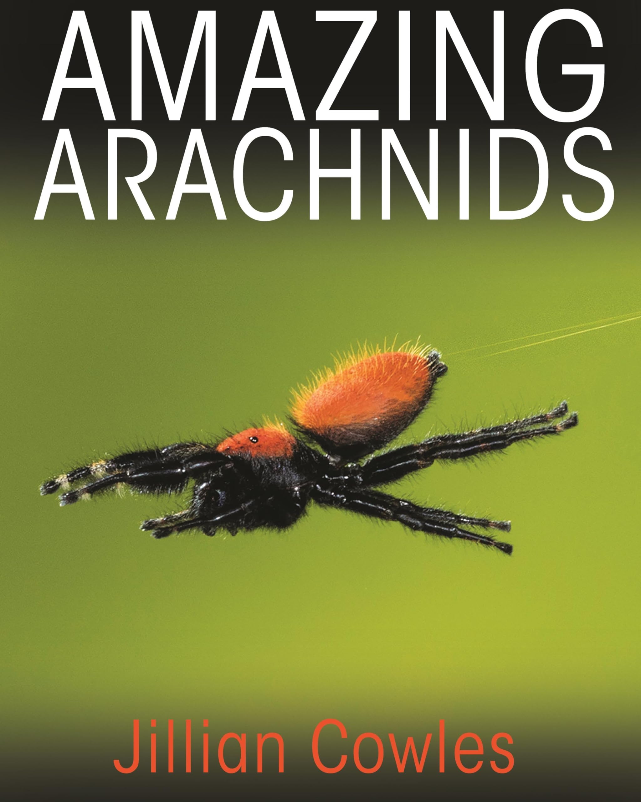 Princeton University Press Amazing Arachnids