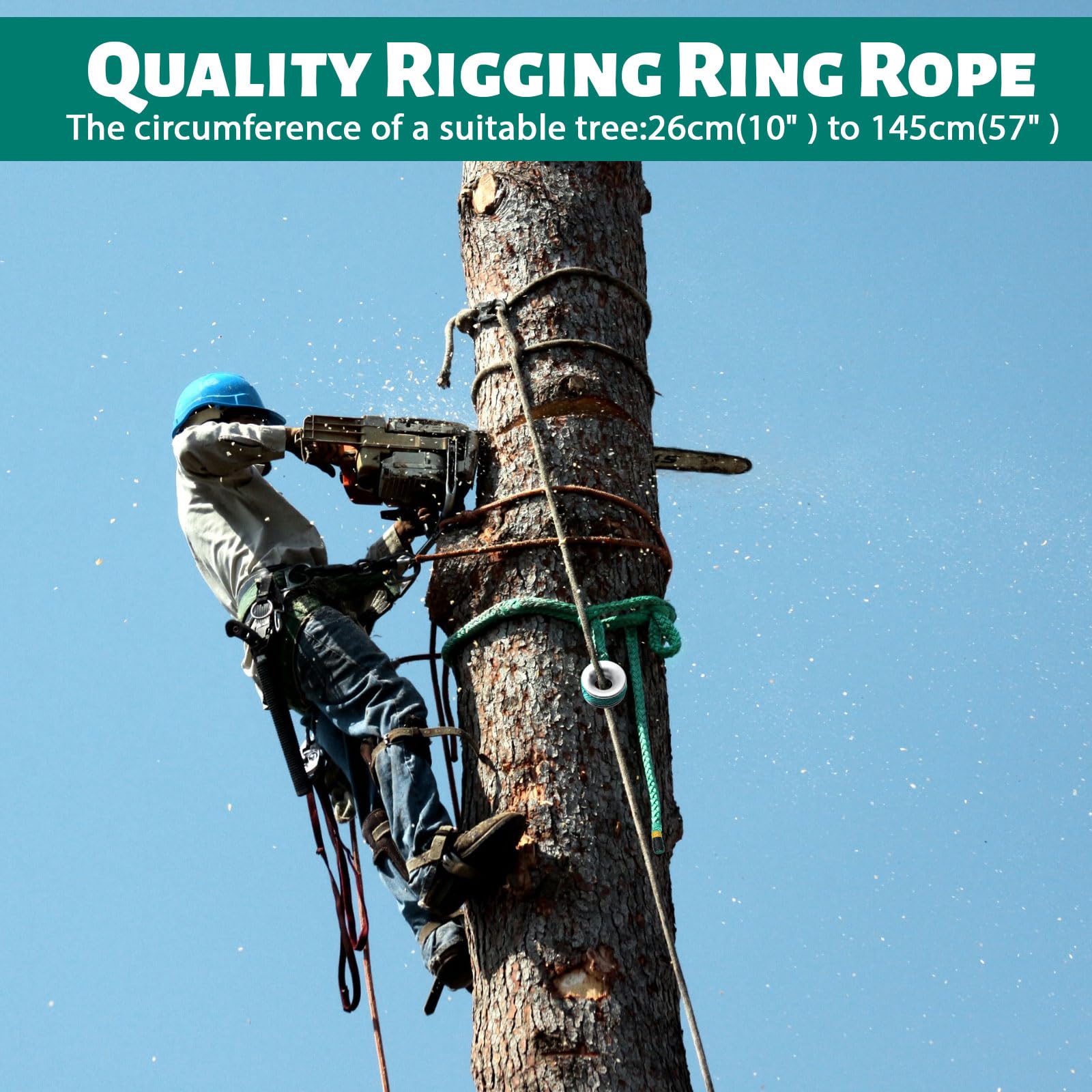 Cinghia ad anello per sartiame, 3 x 1,8 m, corda per arboricoltore con anello a basso attrito, carico massimo 15 t, 7 tasche di regolazione per arrampicata, attrezzatura per arboricoltori – Grande