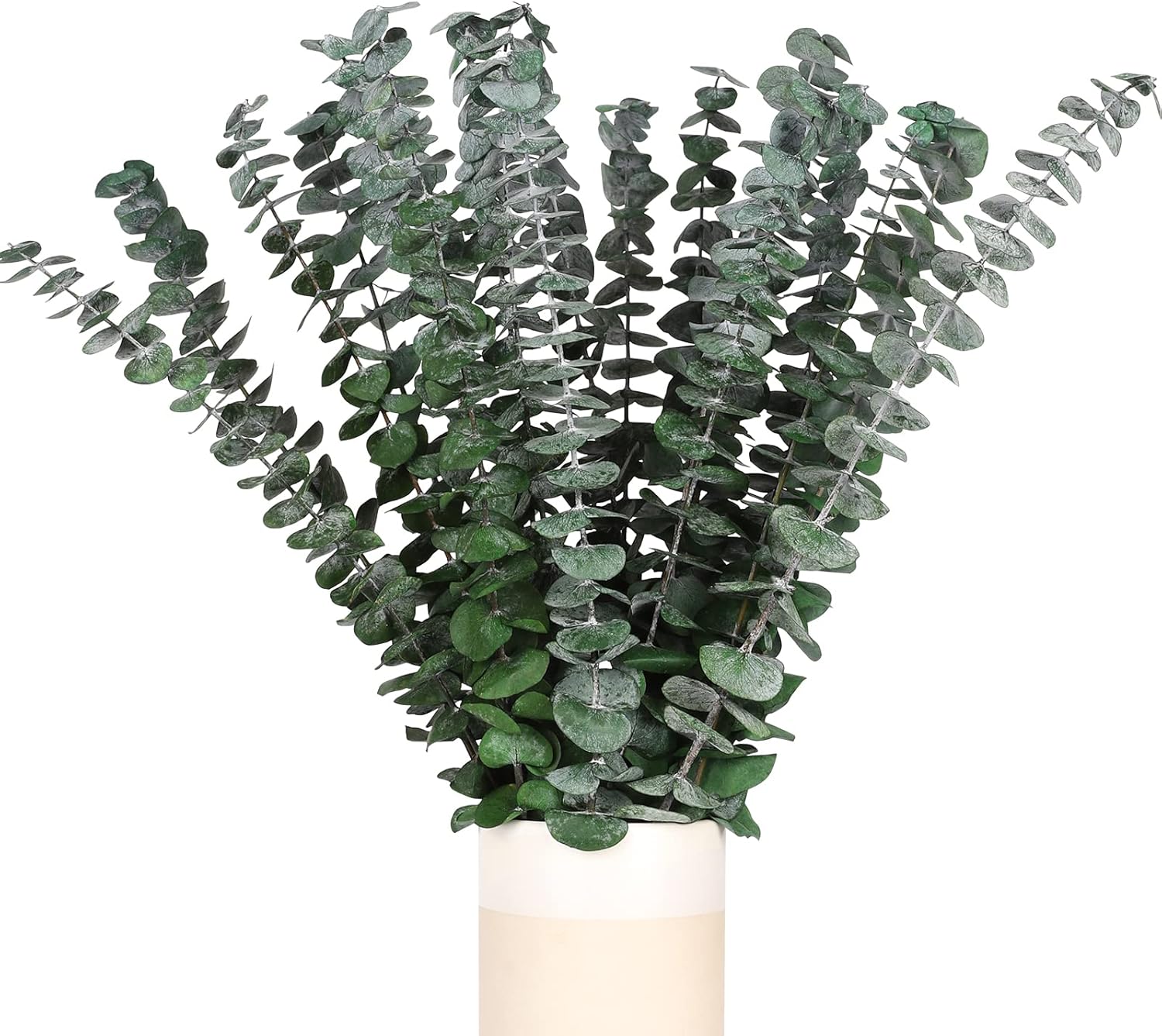 HIAGROW Real Eucalyptus Stems, 20PCS Shower Eucalyptus