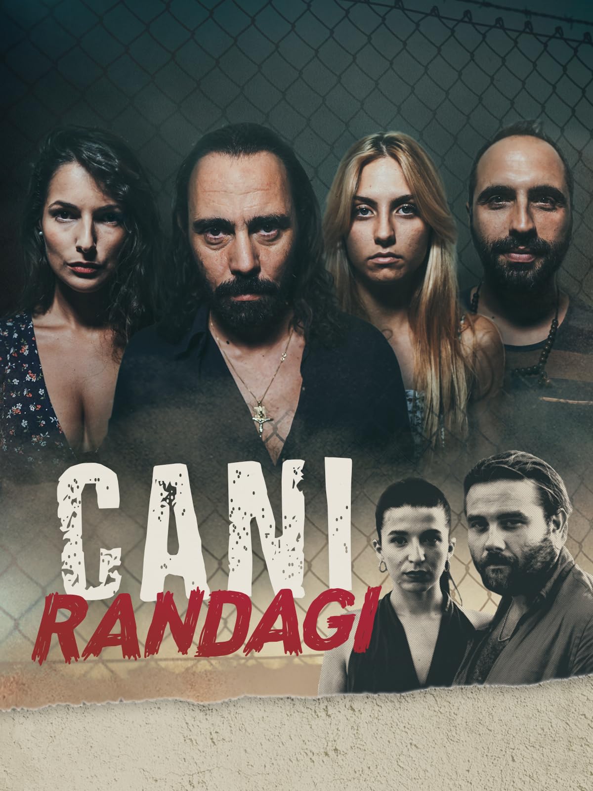 Cani randagi