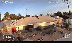 Review Image by Amazon Customer Amazon Customer