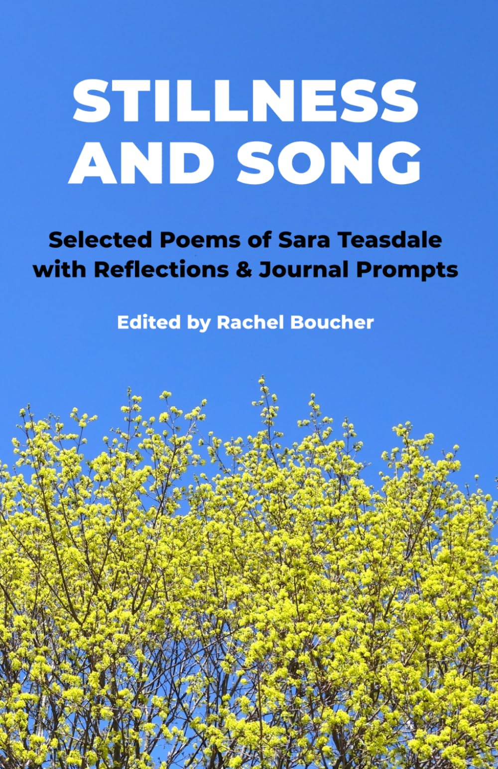 Stillness and Song: Selected Poems of Sara Teasdale with Reflections and Journal Prompts