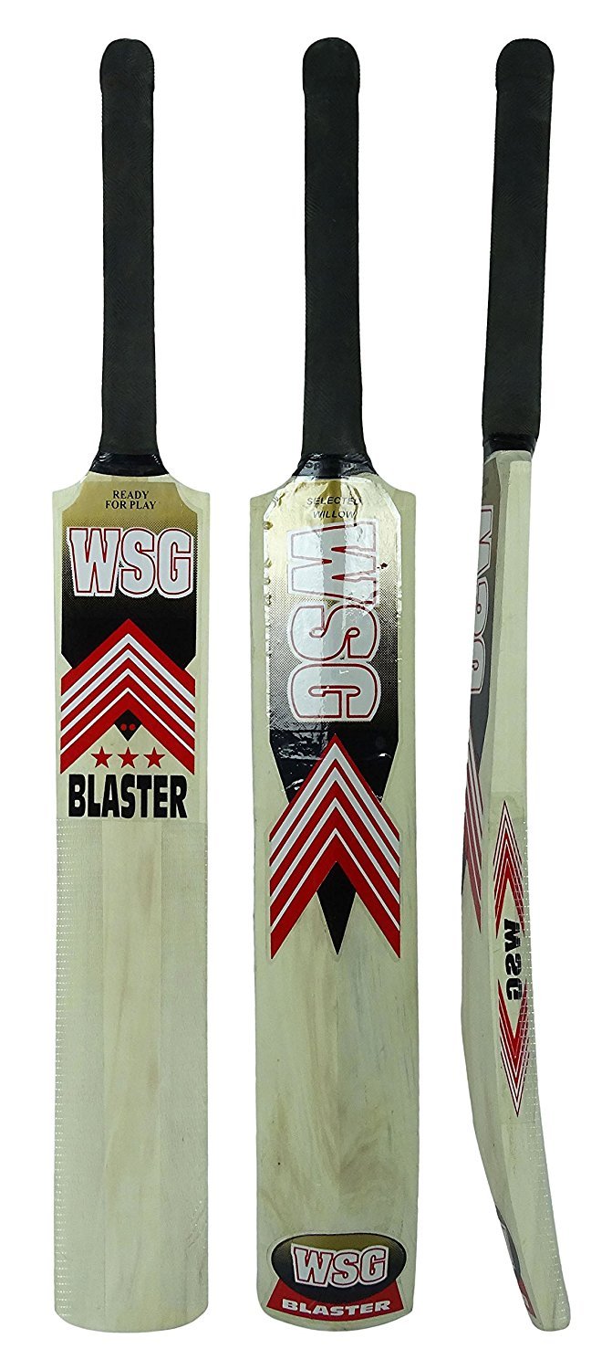 WSG Blaster Kashmir Willow Wooden Short Handle Full Size Cricket Bat with Cover