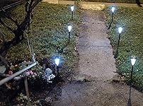 Review Image by CYBER BEAR CYBER BEAR