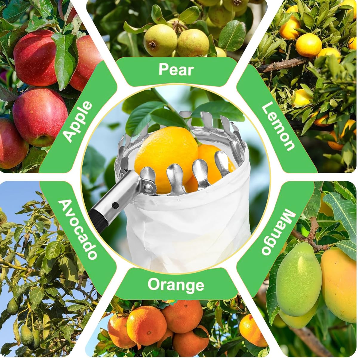 Raccogli Frutta Con Borsa per Grembiule – 2,8 m/9,2 ft Strumento Con Manico Telescopico, Asta Di Collegamento in Acciaio Inox E Sacchetto Di Immagazzinaggio, Picker per Apple Limone Cherry