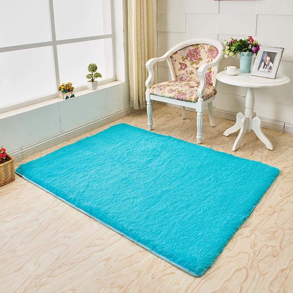 Tapis de soie 120x200cm pour salon et table basse