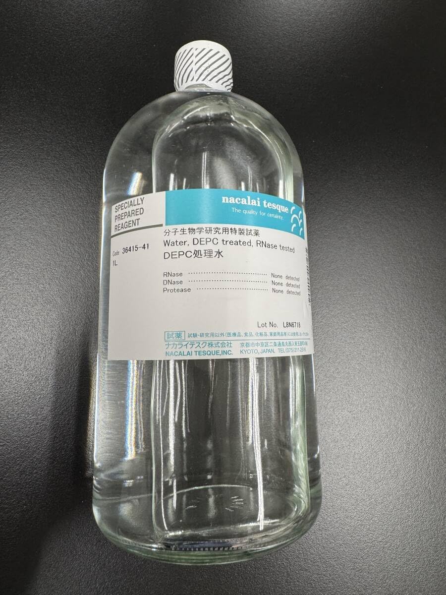 BL絵津鼓 IN THE APARTMENT SUPER NATURAL JOY IN THE APARTMENT IN