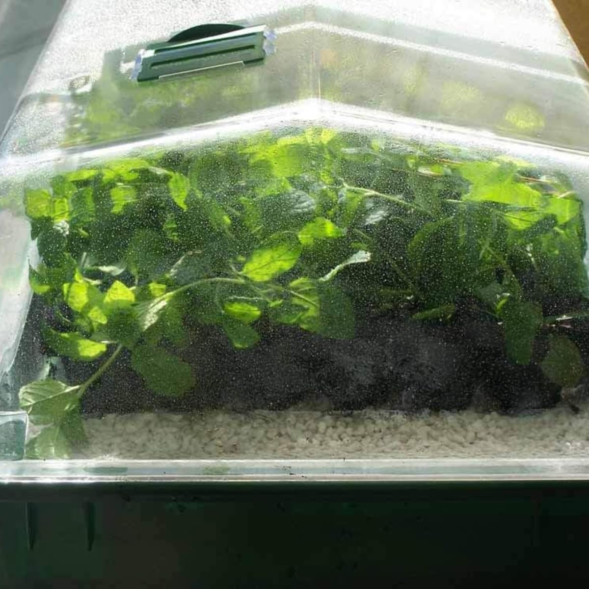 hubey Perlite pour Plantes - Système de Drainage - Stockage d'oxygène, Stockage d'humidité - Améliorateur de Sol … (12 Liter)