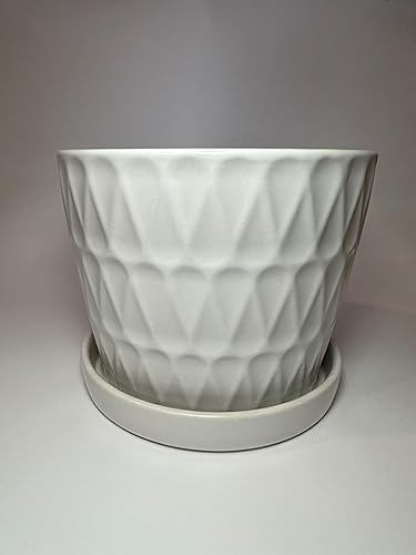 Garden & Home - Maceta de cerámica para interiores de 8 pulgadas color blanco mate con un platillo adjunto y agujero de drenaje. Maceta perfecta