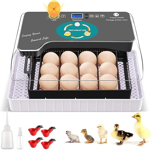 Incubadora de huevos 12-35 huevos totalmente automática para criar aves de corral con pantalla de humedad vela de huevos control de temperatura y