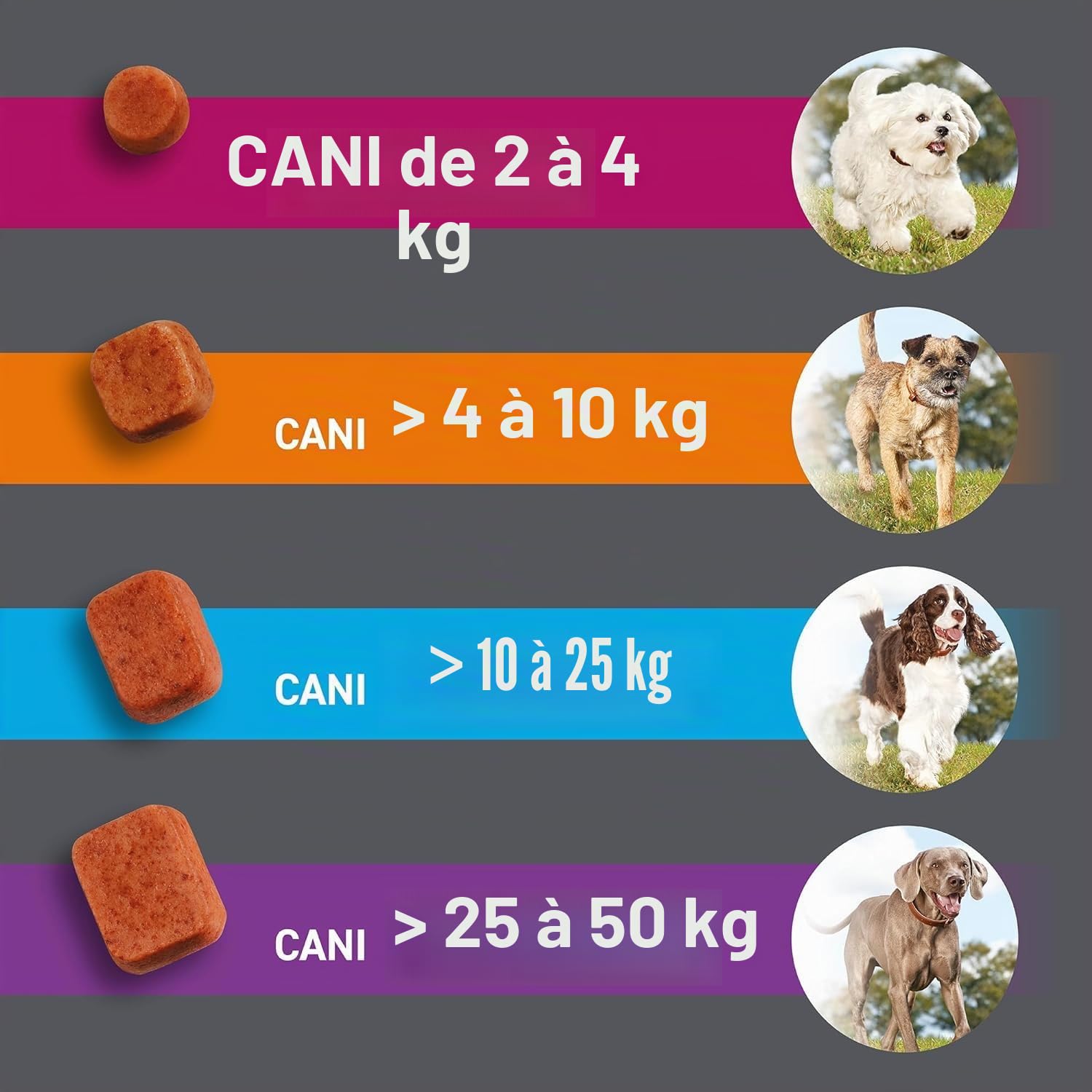 FRONTPRO*3CPR 4-10 KG 28,3 MG Compresse Masticabili Per Cani | 28,3 mg