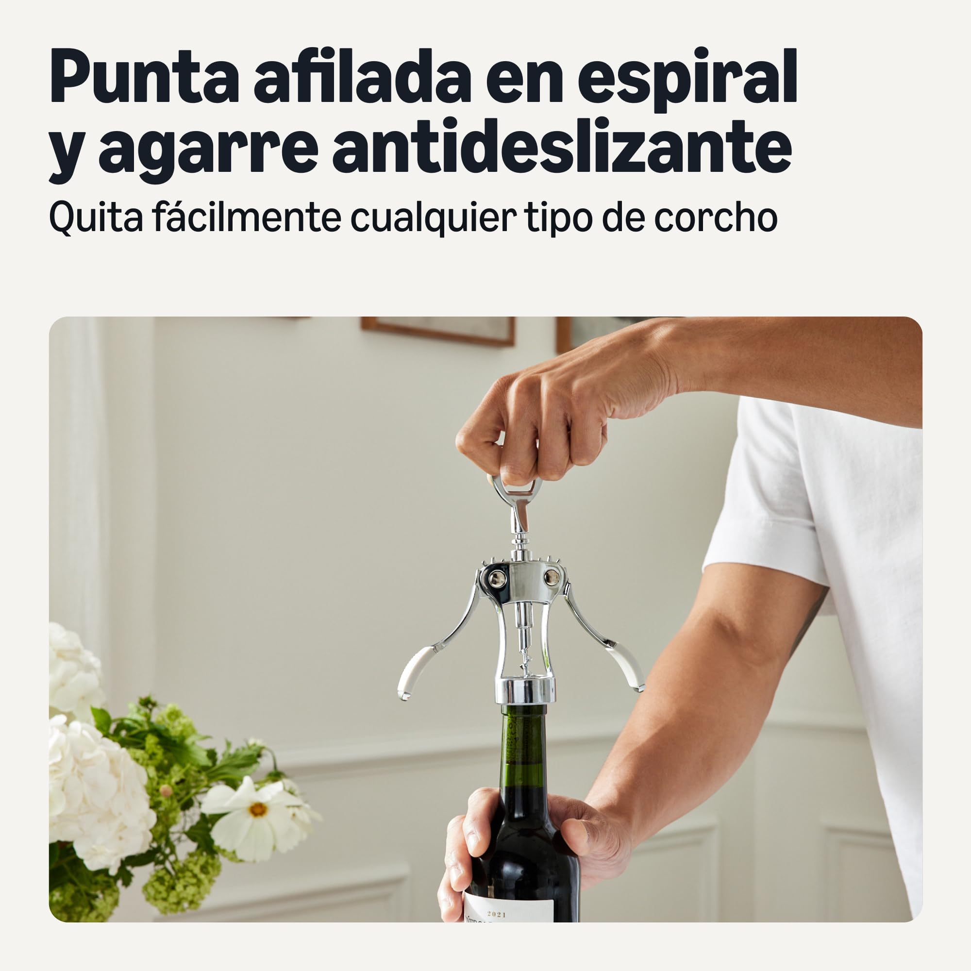 Amazon Basics Sacacorchos y Abrebotellas 2 en 1, Tamaño Único, Aleación de Zinc