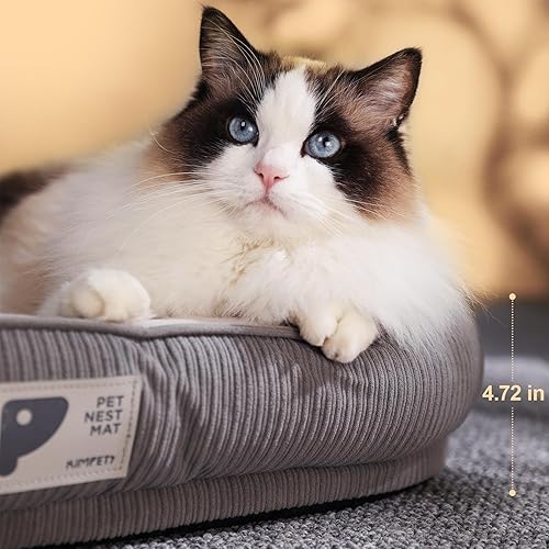 Miniatura 5 de Cama para gatos de interior, camas para perros pequeños con funda extraíble lavable, cama rectangular para cachorros, parte inferior antideslizante,