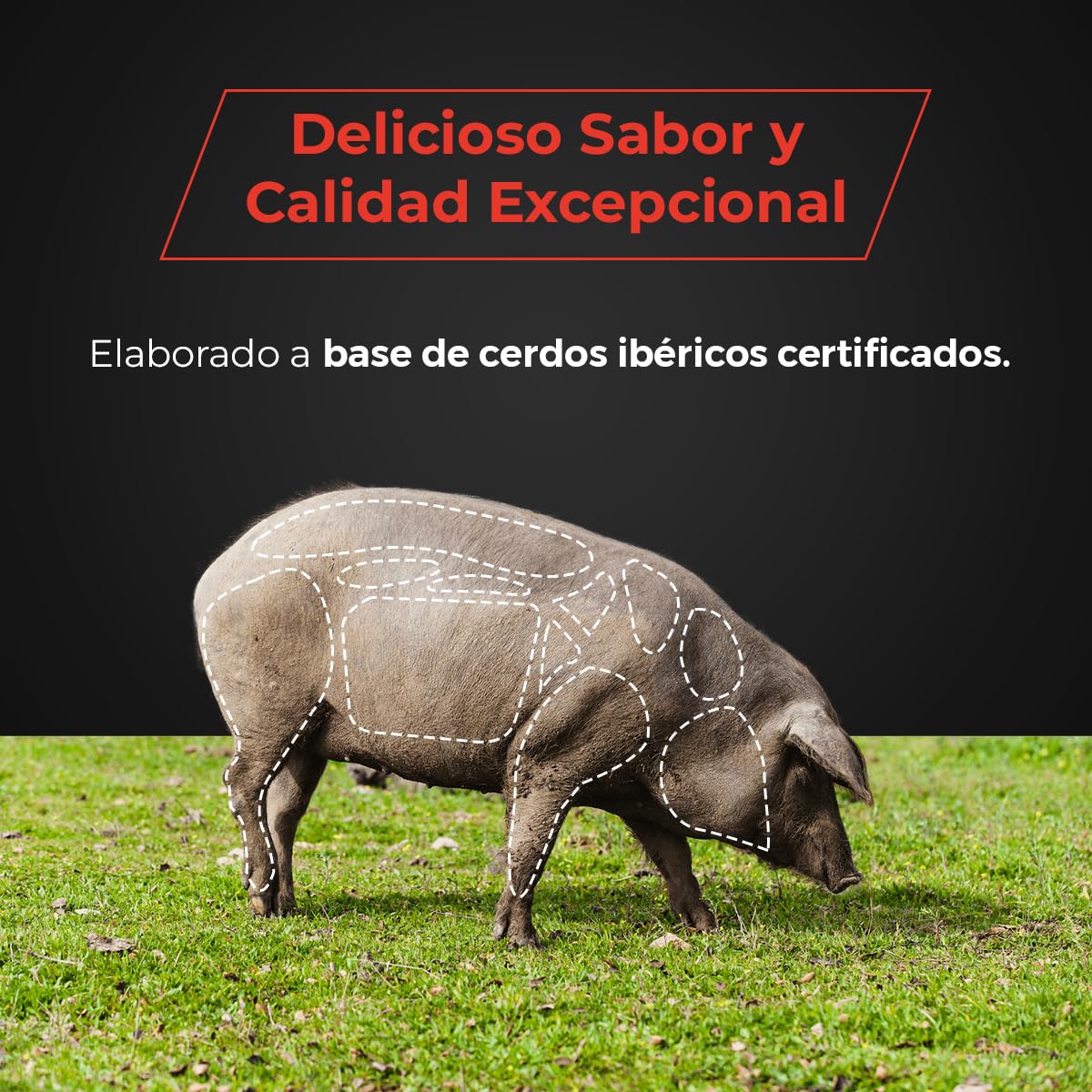 Lomo de Cebo Ibérico Raza 50% Ibérica Certificado - Elaboración Tradicional - Curación Natural - Envasado al Vacío - Pieza de 450-500 g - Nieto Martín
