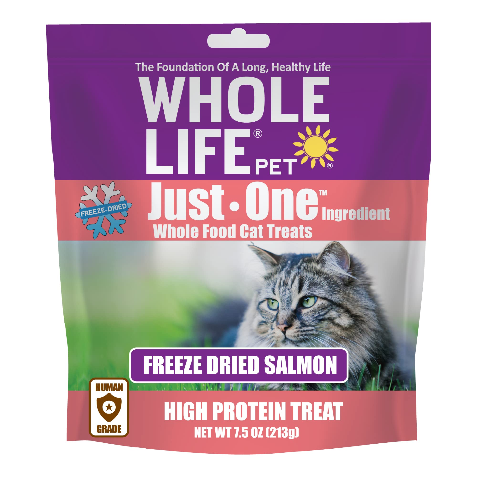 Whole Life Pet Just One Salmon Freeze Dried Cat Treats - Human Grade Cat Food Toppers, High Protein Cat Snacks, Freeze Dried Salmon Cat Toppers for Food, USA Made Natural Cat Treats-7.5 oz (Pack of 1)