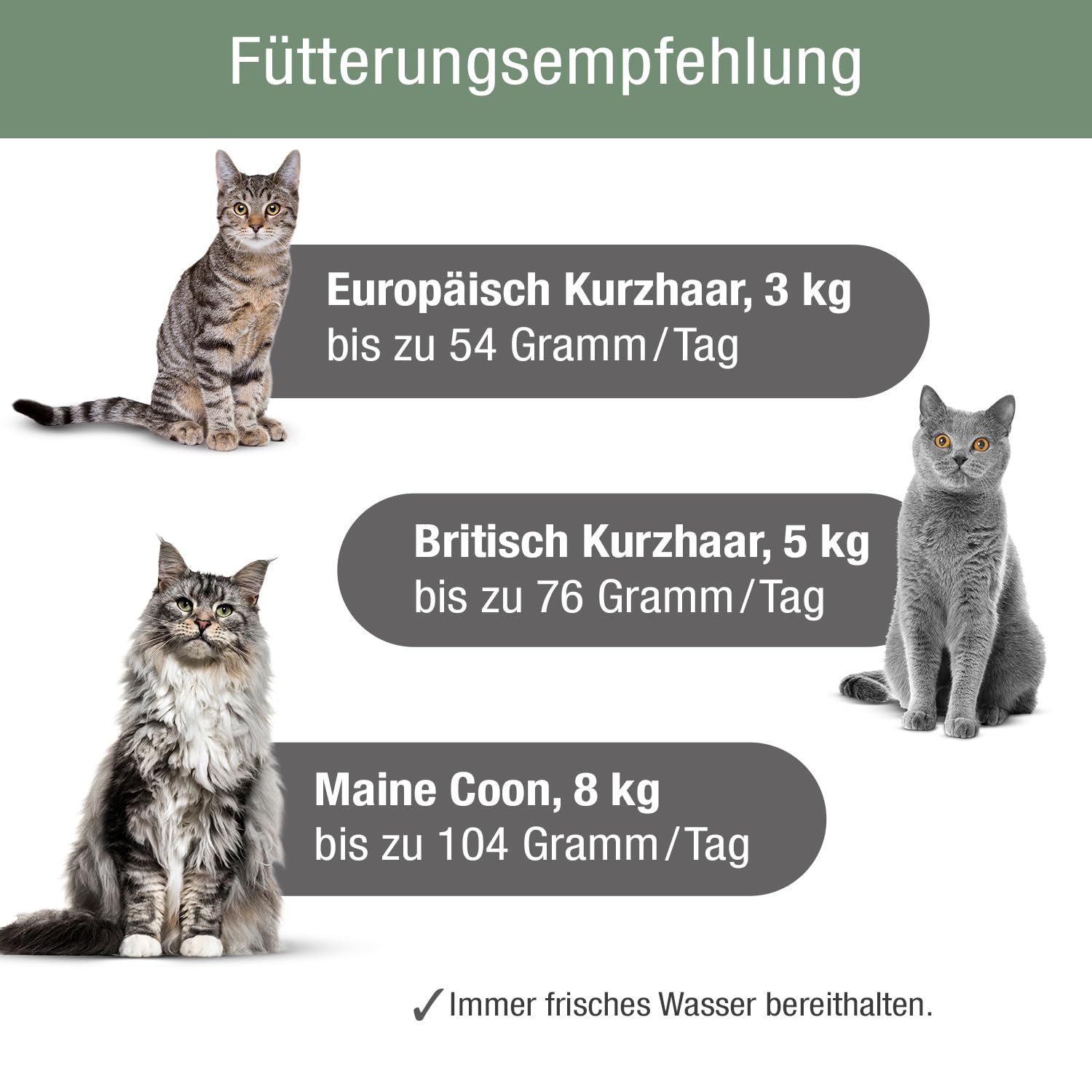 PLATINUM - Katzenfutter MeatCrisp Adult Chicken aus dem Frischfleischtrockner - 1,5kg Katzenfutter trocken mit 83% Frischfleisch - Trockenfutter für Katzen - Crispy Biss und leicht verdaulich