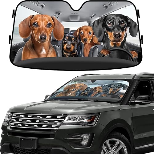 GENANY Lindo Parasol Familiar de Dachshund para Parabrisas de SUV y Camioneta (55x30 Pulgadas), Parasol para Parabrisas, Protector que Bloquea