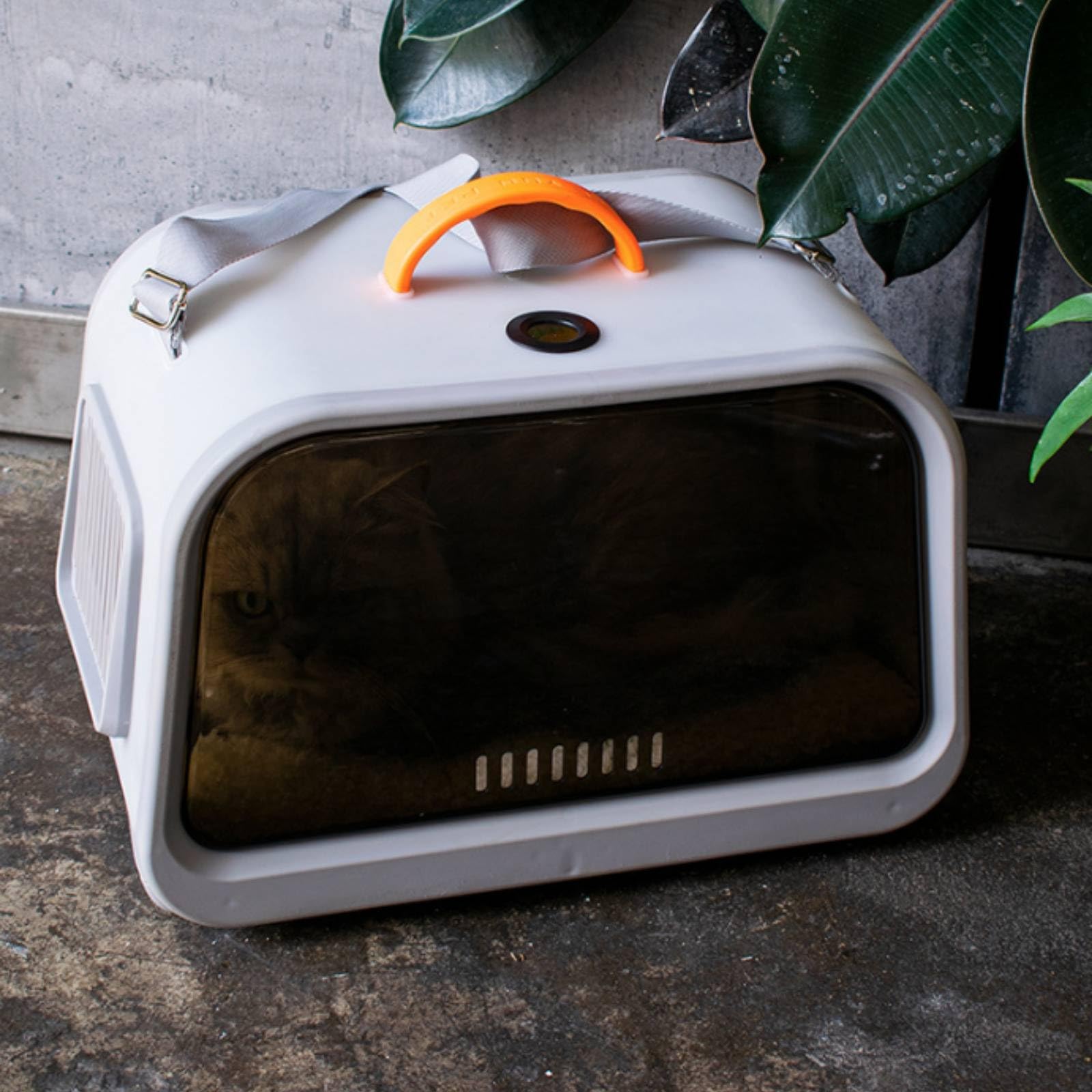 Transportín con Patas Antideslizantes Rígido Bolsa Transporte Resistente para Viajes, Veterinario