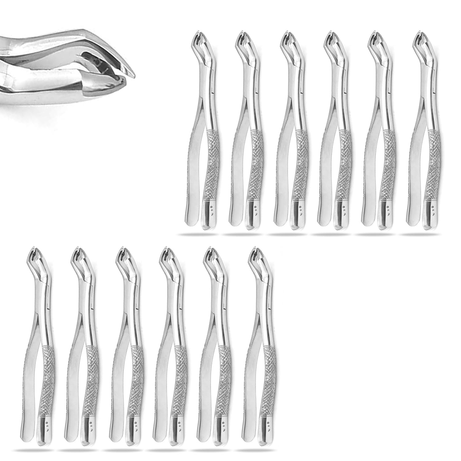 PRECISE CANADA: Set of 12 Dental EXTRACTING Forceps #88R Dental Extraction Instruments