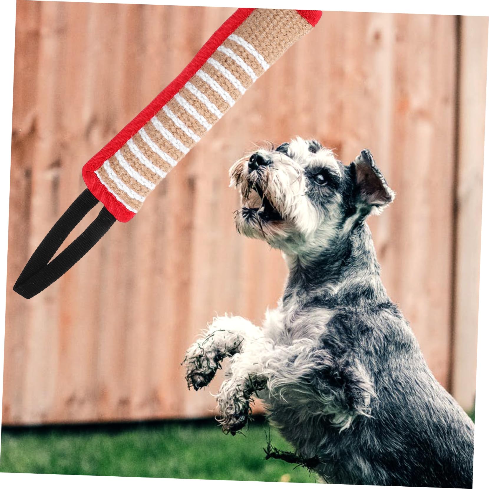 BESPORTBLE 5stücke Hundespielzeug Kauspielzeug Für Hunde Interaktives Kissen Für Training Und Spiel Strapazierfähiges Sicheres Bisskissen Für Große Hunde Beschäftigungsspielzeug Gegen