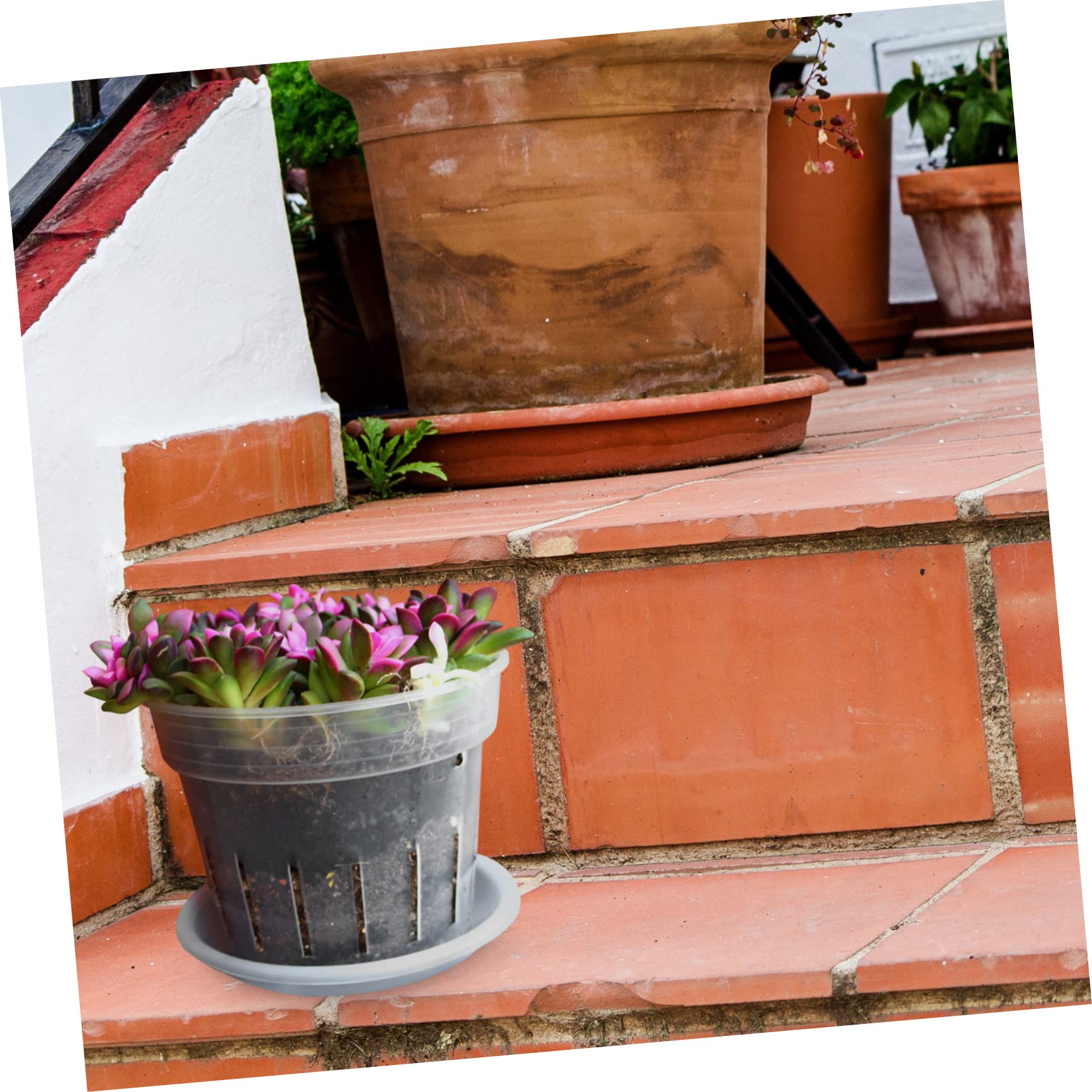 BESTonZON 4Pcs Orchid Planting Cups Breathable Nursery Pots for Gardening Durable and Deform Resistant for Orchids and Flowers for Gardens and Balconies