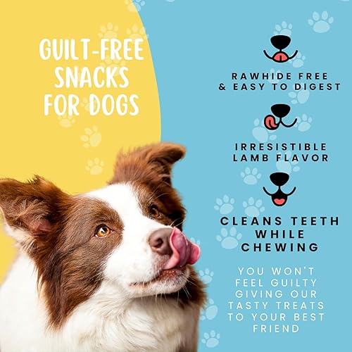 Miniatura 6 de Hotspot Pets Golosinas prémium para perros de cordero de un solo ingrediente, bolsa grande de 1 libra, totalmente naturales, fabricadas en Estados