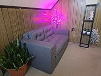 Review Image by S. Baron S. Baron