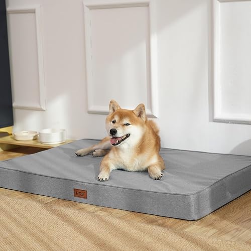 靴を嫌がる犬への慣らし方——トリマー目線で正直に言います