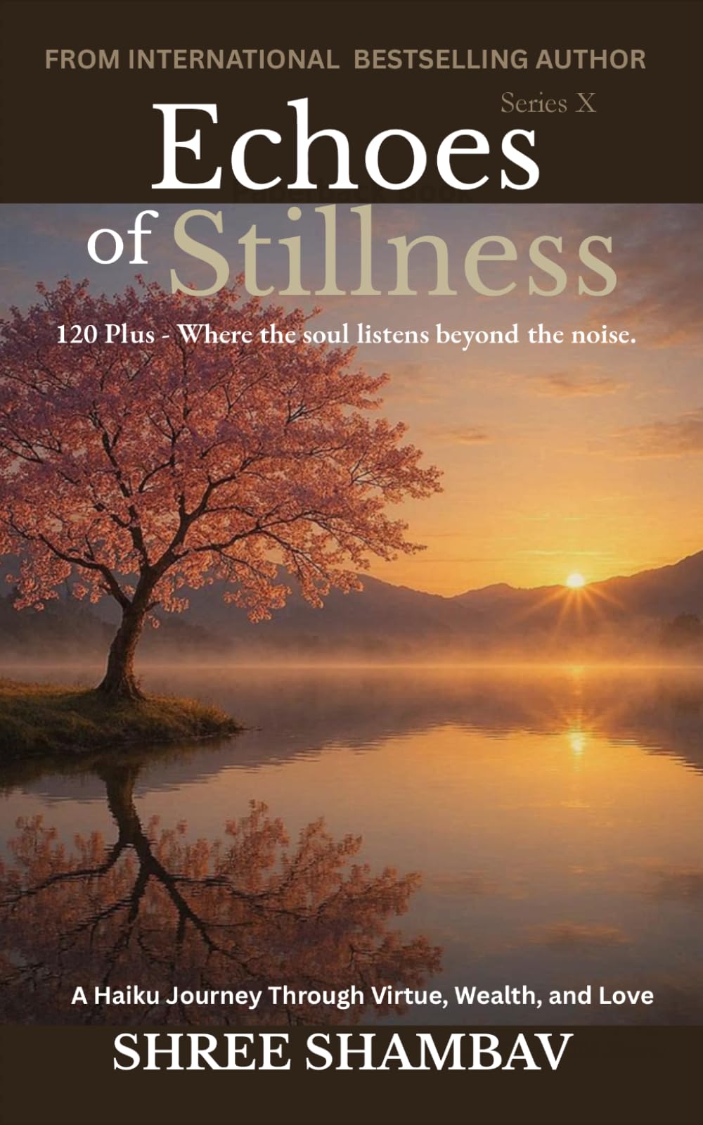 Echoes of Stillness: Where the Soul Listens Beyond the Noise Series X: 10
