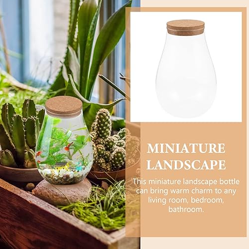 Miniatura 9 de Botella de vidrio de terrario de peces Betta DIY – Contenedor multifuncional para plantas de interior, decoración del hogar y almacenamiento –