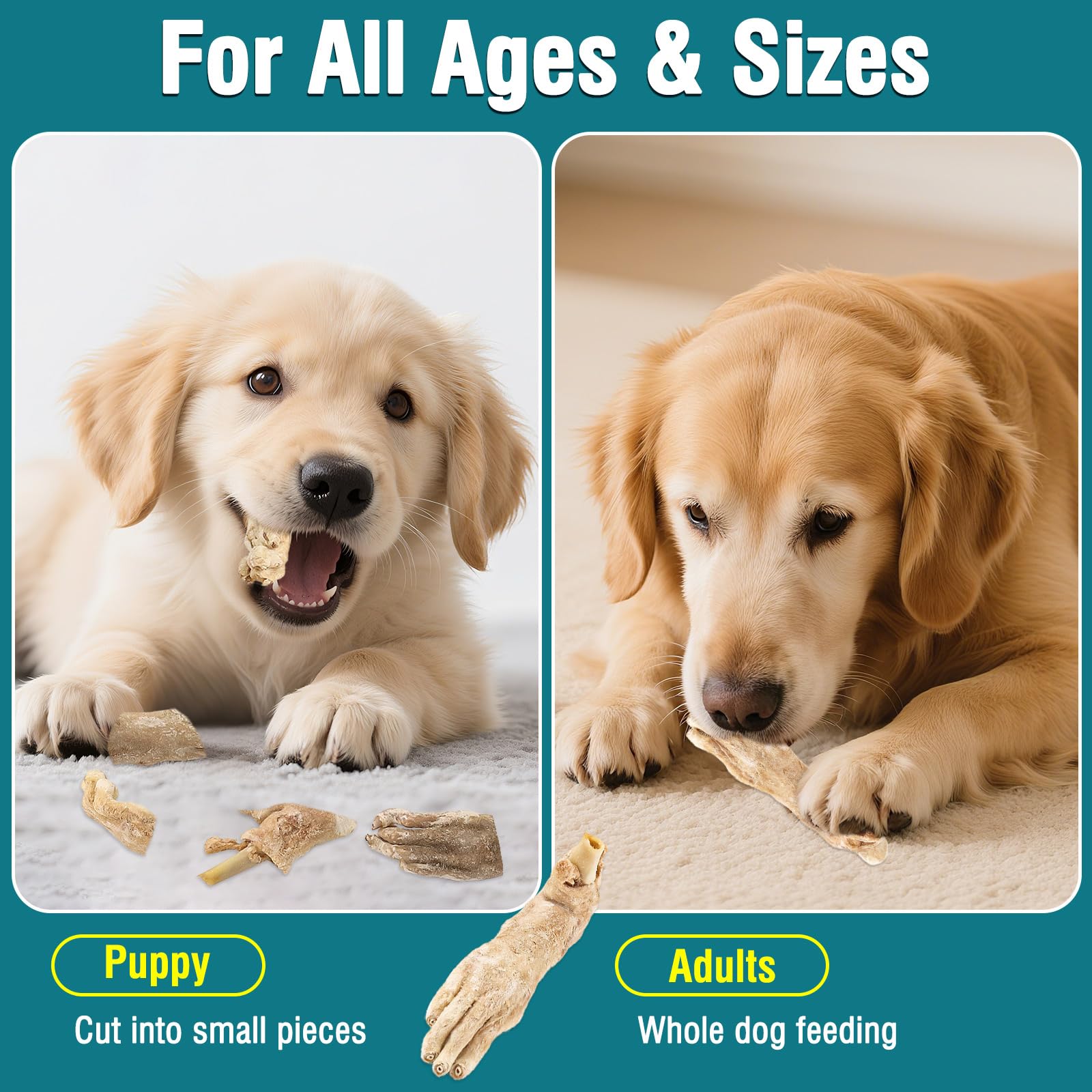 Friandises pour Chiens à Base de Pattes de Lapin lyophilisées Friandises à mâcher Naturelles sans céréales pour Chiens Single-Ingredient, High-Protein Snacks,Hypoallergenic (50g/1.76oz)