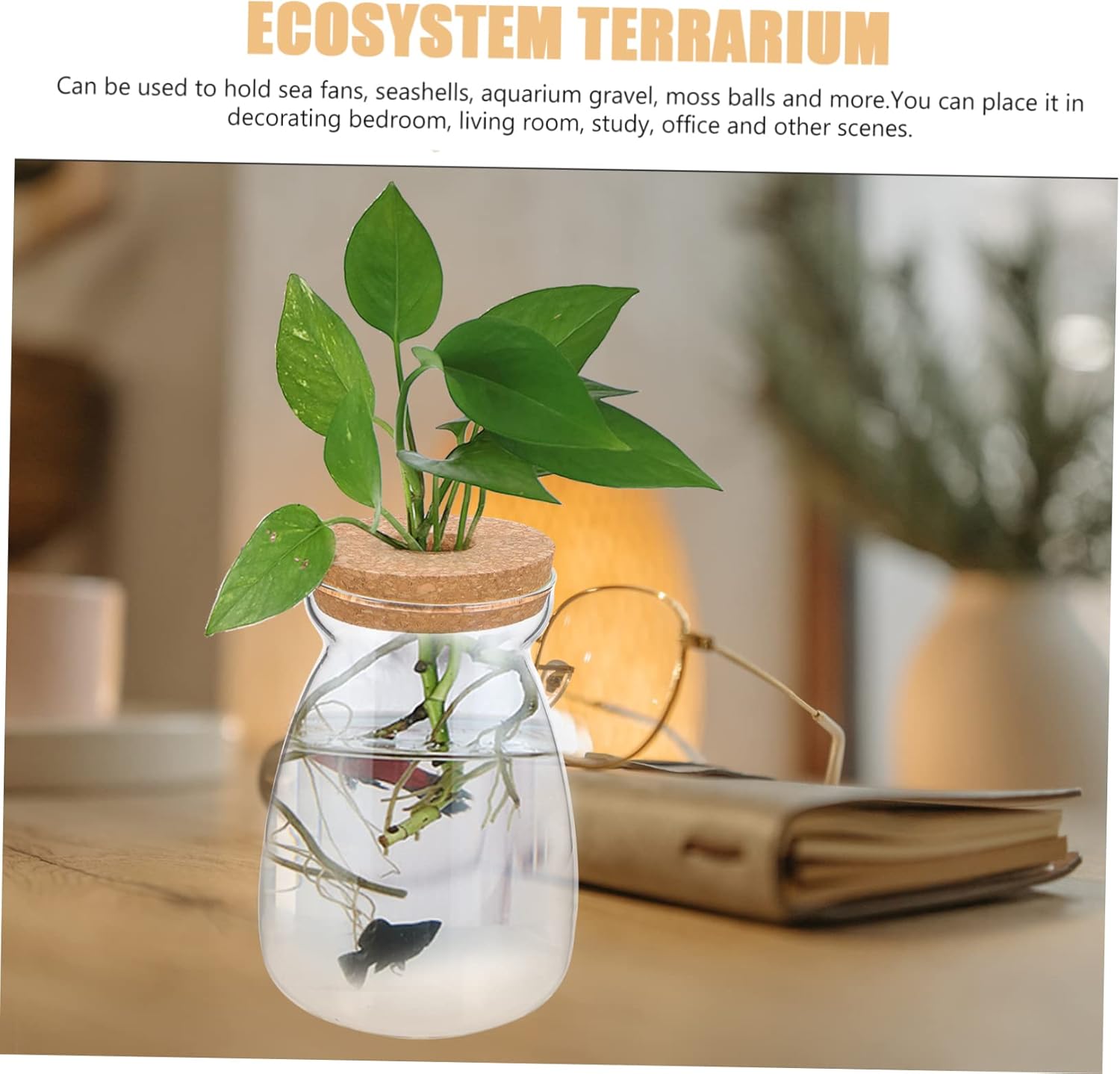 Large Transparent Glass Terrarium Jar with Lid for Micro Landscape and Hydroponic Plants Modern Indoor Plant Container for Succulents and Decorative Natural Elements for Bedroom