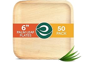 ECO SOUL Compostable 6 Inch Palm Leaf Square Plates