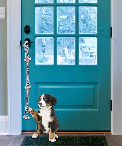 Miniatura 110 de NFL San Francisco 49Ers - Caja de regalo para mascotas con 2 juguetes para perros, 1 logotipo grabado natural para perros, 1 camiseta de la NFL, 1