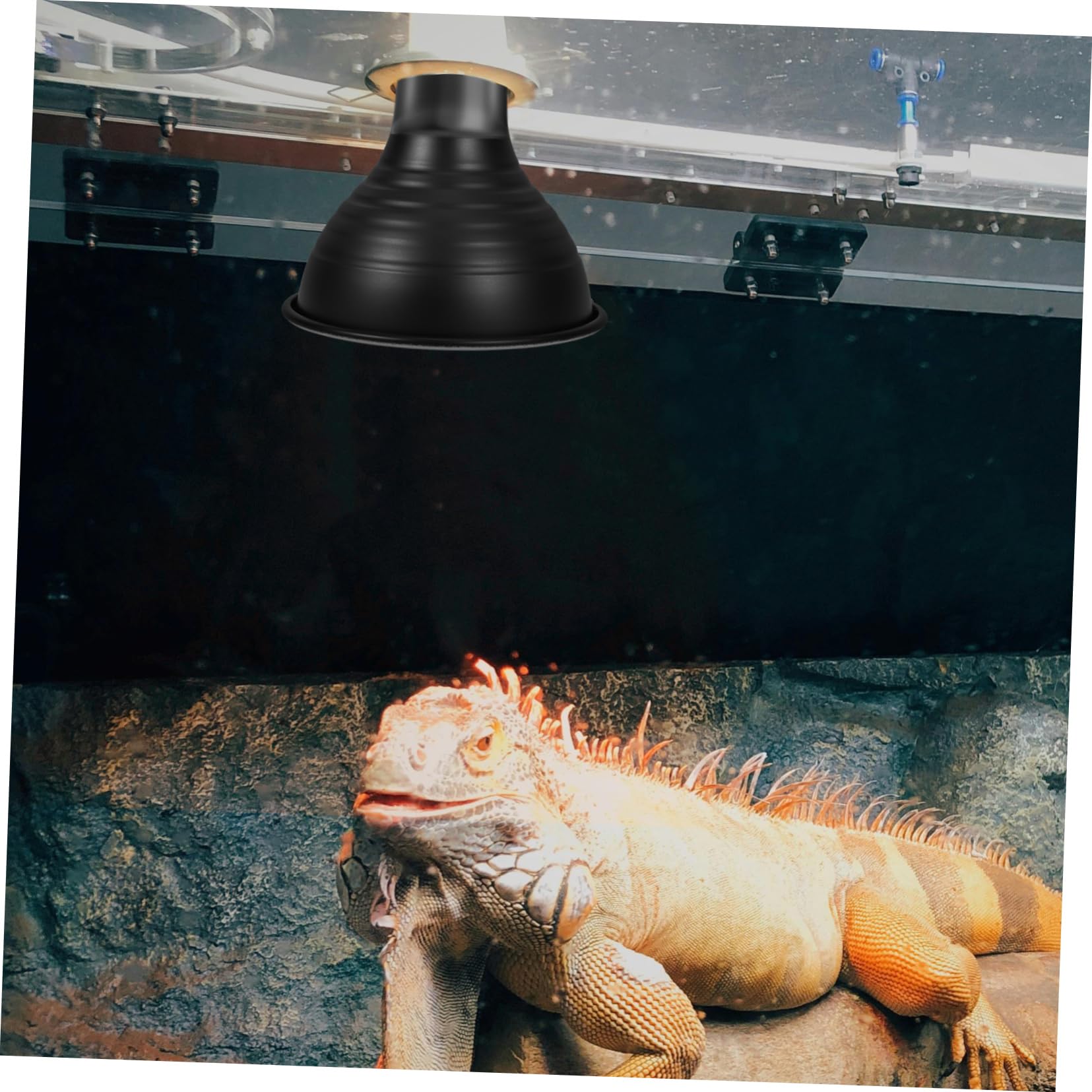 Ciieeo 5 Piezas luminarias para Reptiles Linterna LED Recargable luz de Calor para Reptiles Calentador Reptiles Accesorios de iluminación para Reptiles Bombillas Pantalla de Reptil Black