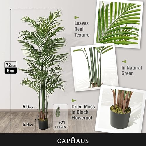 Miniatura 5 de CAPHAUS Palmera artificial en maceta de 6 pies, planta de palma falsa realista para interiores y exteriores, resistente a los rayos UV, árbol