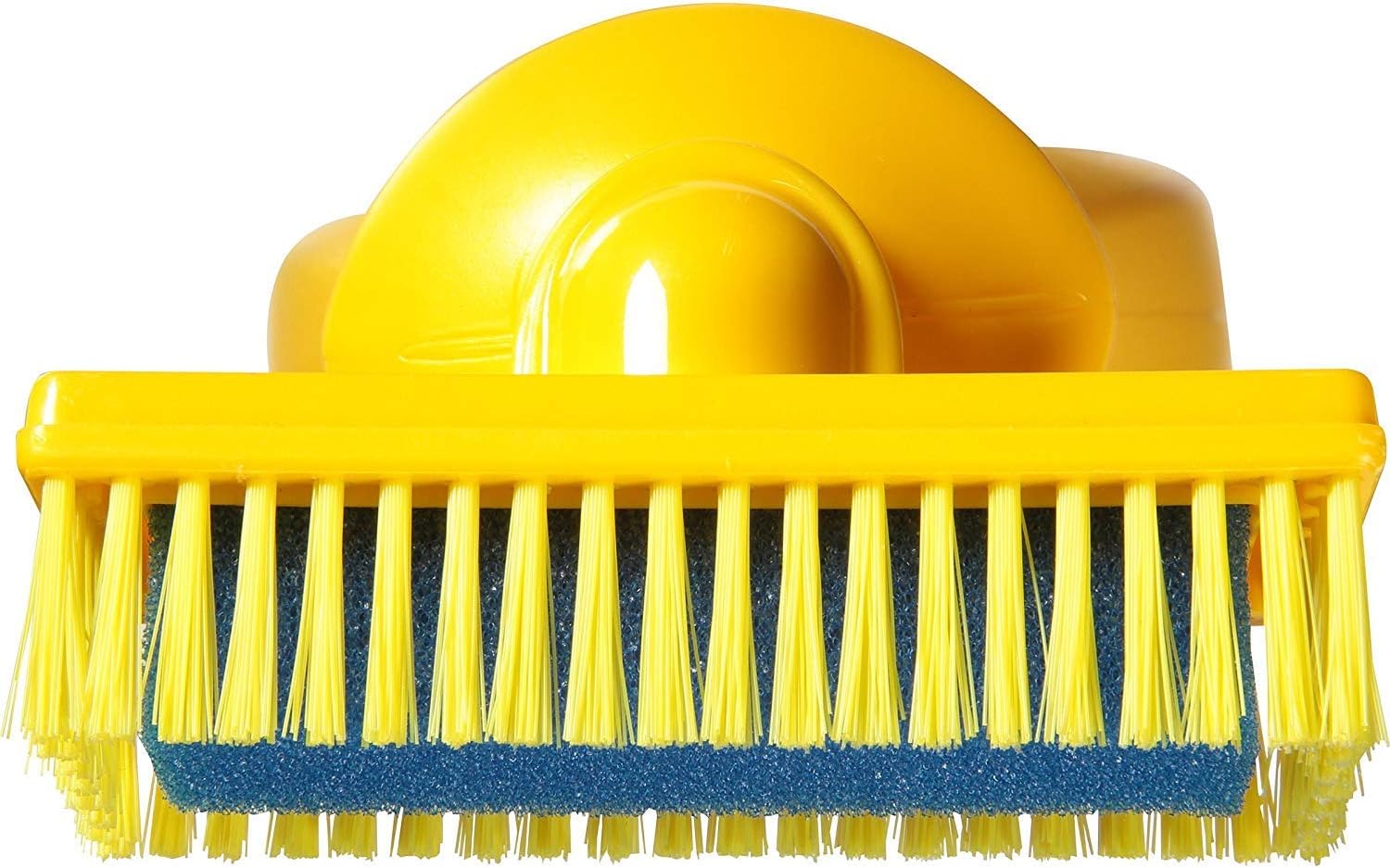 Carbona 2 in 1 Pet Stain and Odor Remover-22oz : Home & Kitchen