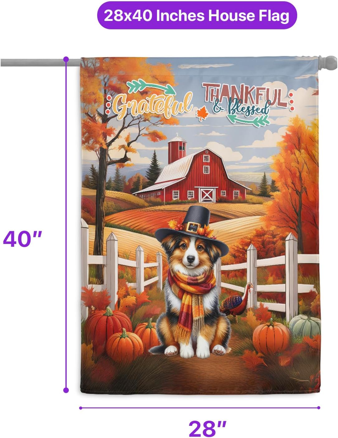 Happy Thanksgiving Miniature American Shepherd Pilgrim Grateful, Thankful, Blessed Fall Welcome House Flag 28x40in Double Sided MAS Dog Lover Gifts Outdoor Decor - 021