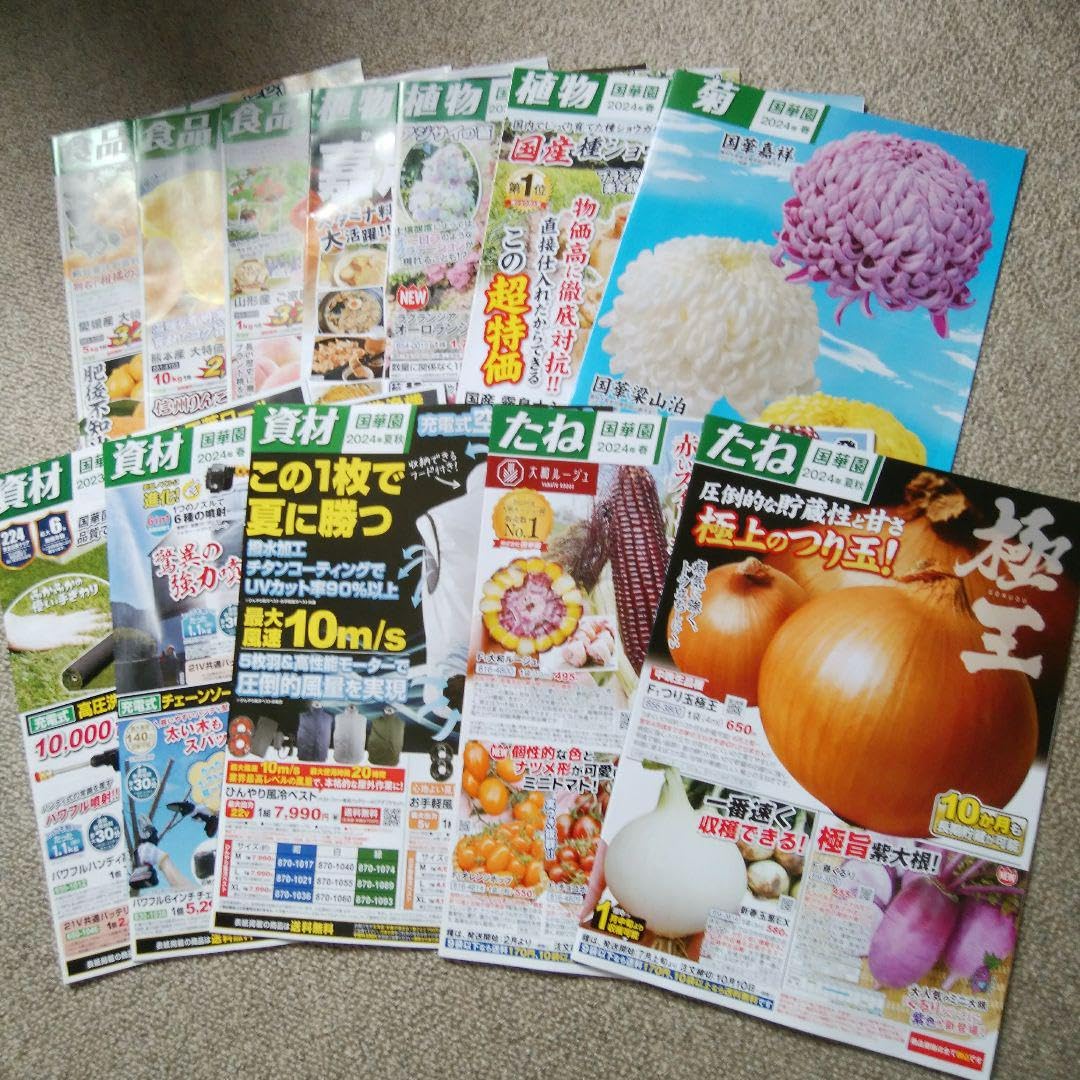 QDT2023年12冊、 2024年1月〜12号 合計24冊セット Amazon.co.jp: 国華園 20232024年カタログ 12冊セット : 文房具