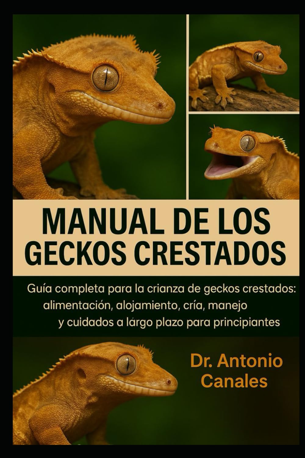 Independently Published Manual Del Geckos Crestado: Guía Completa Para La Crianza De Geckos Crestados: Alimentación, Alojamiento, Cría, Manejo Y Cuidados A Largo Plazo Para Principiantes.