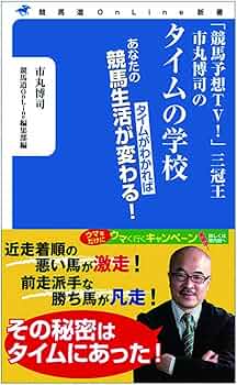 【中古】 Ｔａｒｇｅｔ　ｍａｘｉｍｕｍ 競馬予想支援データベースソフト/マイナビ出版/市丸博司 中古】 Target maximum 競馬予想支援データベース
