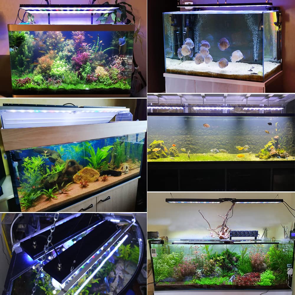 PopBloom WiFi LED Beleuchtung für Süßwasser Aquarien 90W, Vollspektrum Aquarium Led Lampe, Hohe Leistung, Sonnenaufgang Sonnenuntergang (90W (For 80-100cm))
