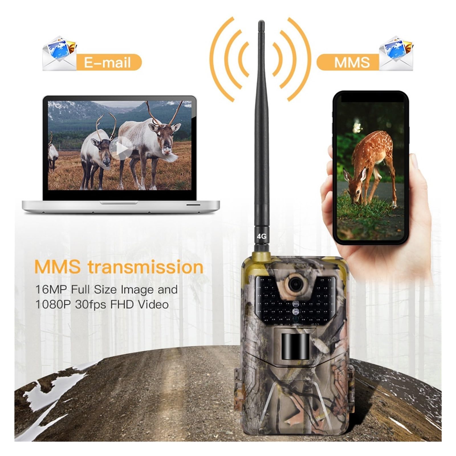 Kamera leśna, Polowanie Na Szlaki Mms Sms Kamera Gsm Ładująca 36 MP Aplikacja Bezprzewodowa Usługa W Chmurze Wykrywanie Noktowizora Podczerwieni(ONLY camera)