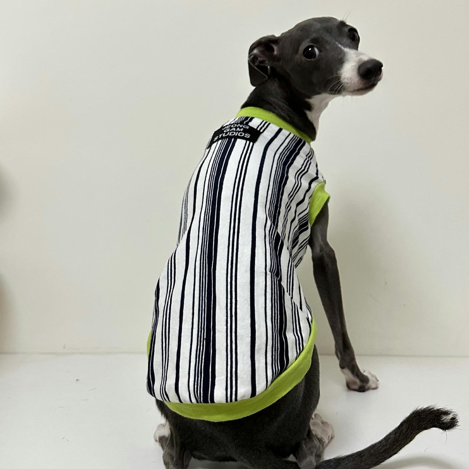 Camisas para Perros, Camisetas a Rayas de algodón, Chaleco Fresco de Galgo Italiano de Verano, Ropa Suave y Transpirable para Cachorros para Perros pequeños, medianos y Grandes