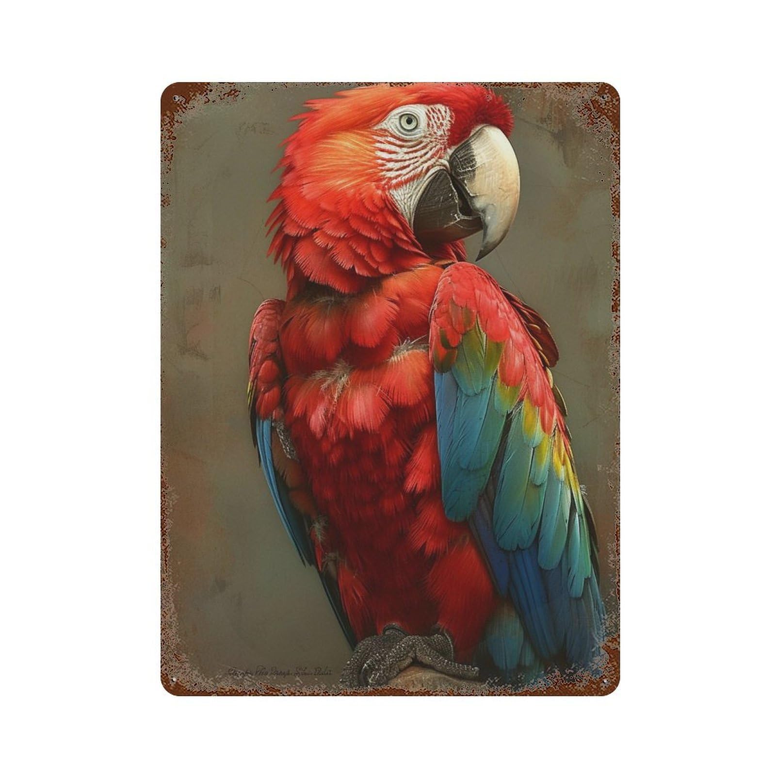Colorful Macaw Parrot Art Print-4 15.7"x11.8" Vintage Rust Metal Sign, Decorative Metal Wall Art for Bistro, Counter And Cafe Decor